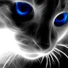 Avatar ericavieira