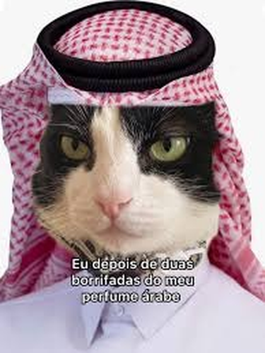 Imagem do comentário