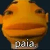 Avatar rafaelfalcao5677