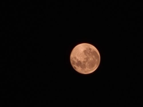 20220516_182712.jpg