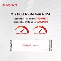 [2und] SSD Asgard AN4 Plus 1TB NVME GEN4 7000MB/s