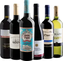 Kit de vinhos Nuclear da Evino - R$125