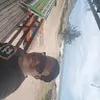 Avatar danilosilva1214