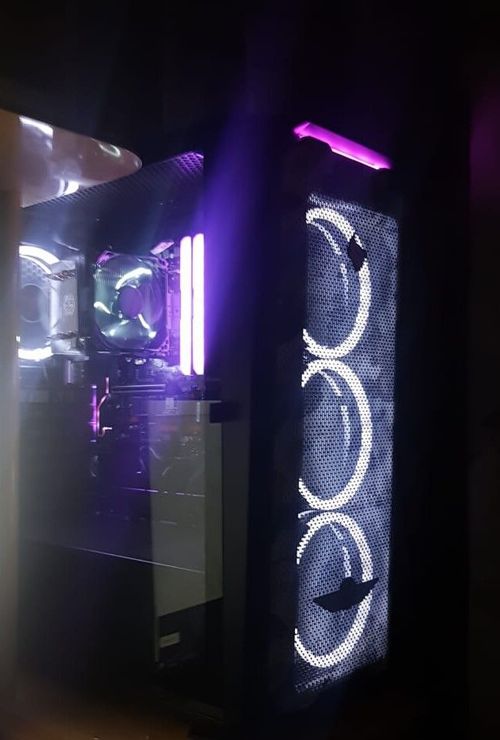 6868482.jpg