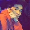 Avatar leone.negrao