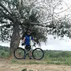 Avatar gennaricaetano