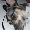 Avatar banzini