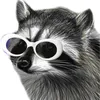 Avatar vrios