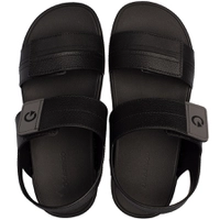 Papete Grendene Cartago Dakar - Masculina | R$40