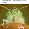 Avatar gafanhotop