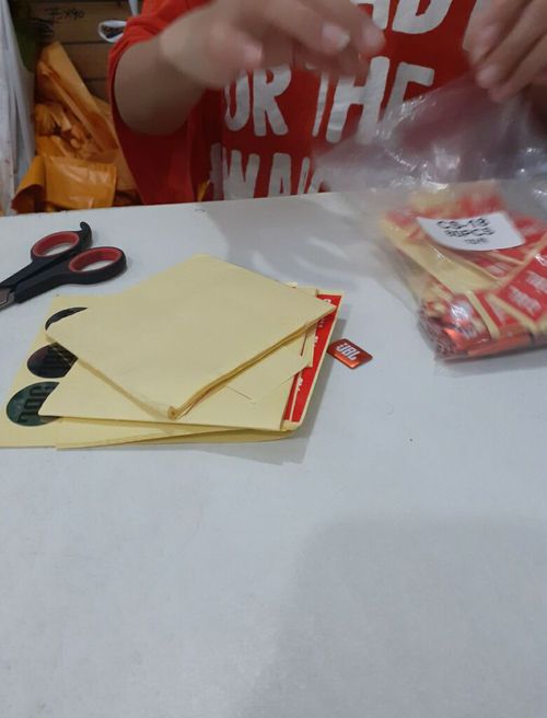 4503233.jpg