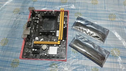 5312921-l70qy.jpg