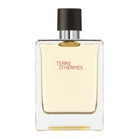 [APP] PERFUME TERRE D'HERMÈS  EDT 100ML