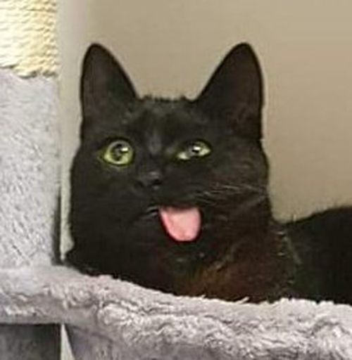 FduYqGBXoAEdKU1.jfif