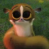 Avatar luliss