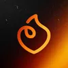 Avatar fgpa