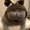 Avatar shineboy