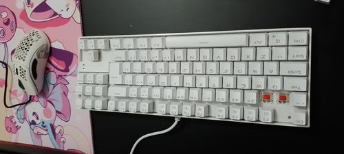 20220730_124937.jpg