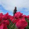 Avatar renataserfm
