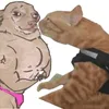 Avatar pirangueiro_profissa
