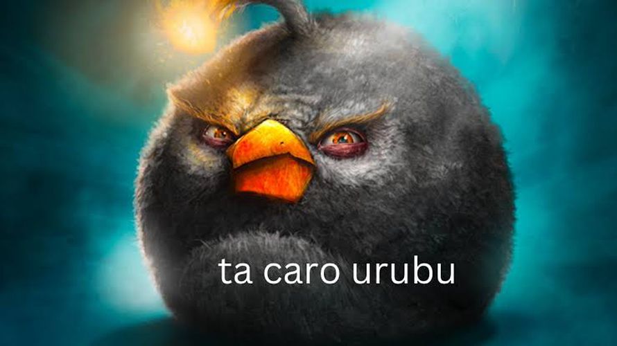 Imagem do comentário