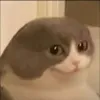 Avatar caatingagames