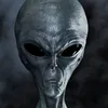 Avatar zvinoera