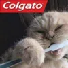 Avatar thiagoresende572