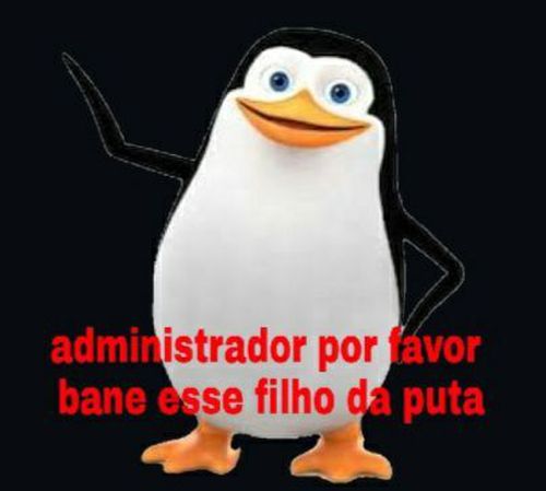 5138035.jpg