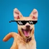 Avatar leandrowcm
