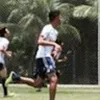 Avatar levisiebra