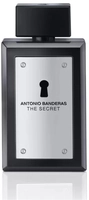 Perfume Masculino The Secret Antonio Banderas Eau de Toilette 100ml 