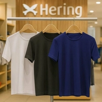 Kit 3 Camisetas Hering Slim (Tam P ao GG)