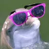 Avatar lucasp8514