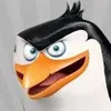 Avatar macrijr