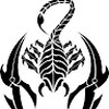 Avatar scorpioncosta