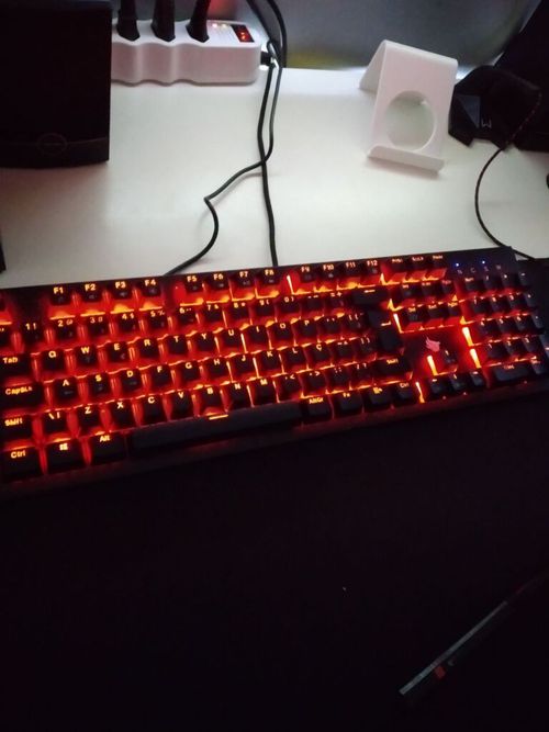 6266142-4jngV.jpg