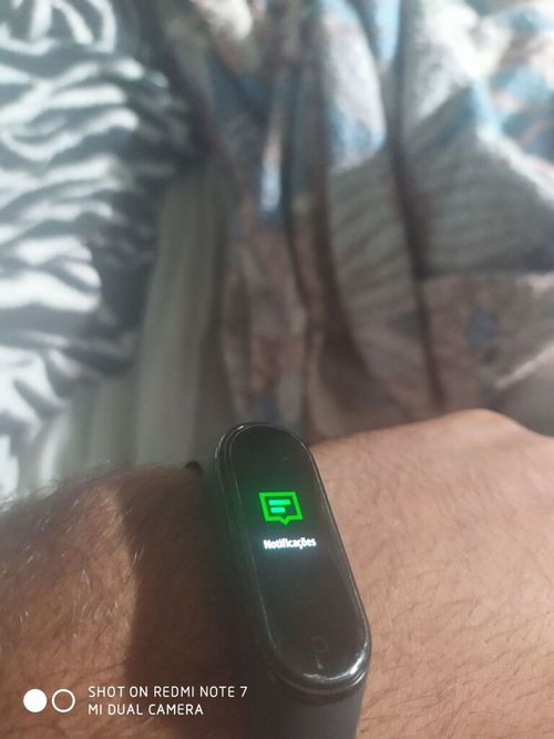 4206104.jpg