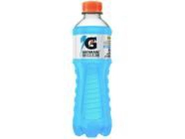 Isotônico Gatorade Zero Frutas Silvestres 350ml