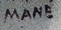 @the_mane