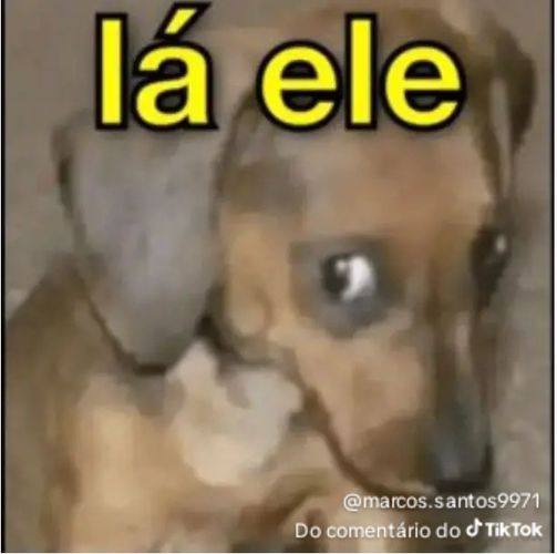 Imagem do comentário