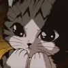 Avatar gatocongelado