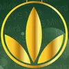 Avatar alimentacaoesaude_