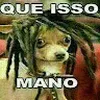 Avatar moisesjose