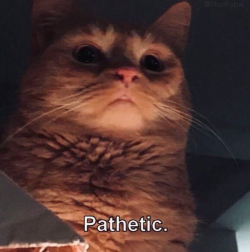 5749389.jpg
