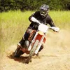 Avatar william_mr