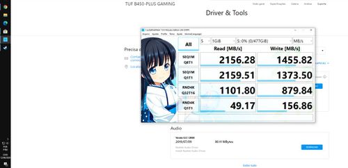 5488359-tfmba.jpg