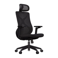 Cadeira Ergonômica Elements Aiven