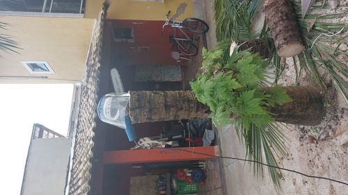 IMG-20221117-WA0109.jpeg