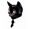 Avatar mattav